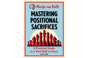 Positional Chess Rook Sacrifice by Manuel Bosboom