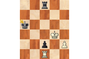 Revealing mistakes by a strong grandmaster