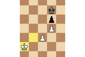 Converting to a pawn endgame