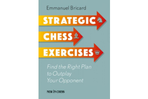 Strategic Chess Exercises - A Hidden Gem