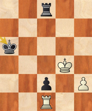 Revealing mistakes by a strong grandmaster