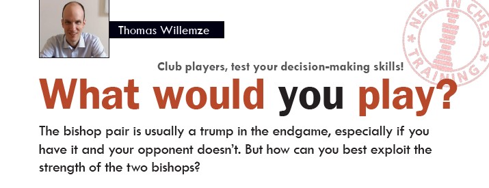 1001 Chess Endgame Exercises for Beginners by Thomas Willemze