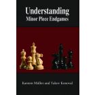 Understanding Minor Piece Endgames