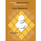Chess Middlegame Strategies