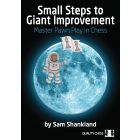 Small Steps to Giant Improvement (Paperback)