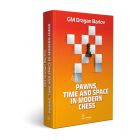 Pawns, Time and Space in Modern Chess