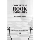 Conceptual Rook Endgames (Hardcover)