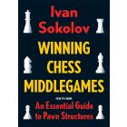 Winning Chess Middlegames