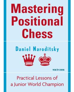 Mastering Positional Chess  - eBook
