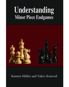 Understanding Minor Piece Endgames