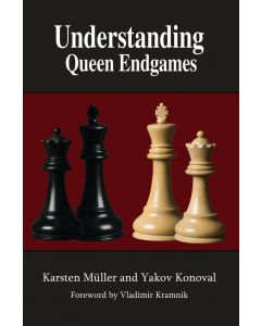 Understanding Queen Endgames