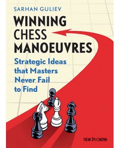 Winning Chess Manoeuvres