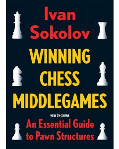 Winning Chess Middlegames