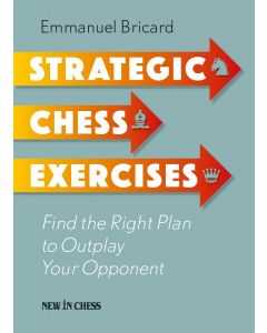 Strategic Chess Exercises