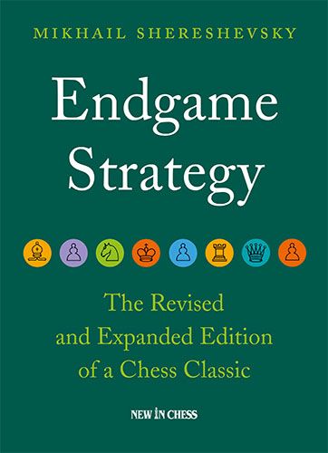 Timeless Technique: Strategic Endgames