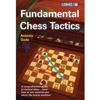 Fundamental Chess Tactics