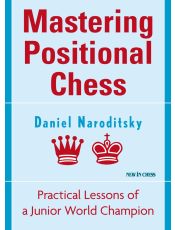 Mastering Positional Chess  - eBook