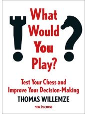 What Would You Play?