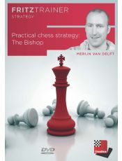Merijn van Delft: Practical chess strategy: The Bishop