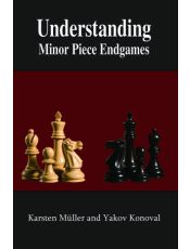 Understanding Minor Piece Endgames