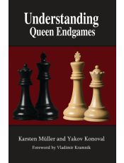 Understanding Queen Endgames