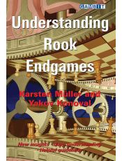 Understanding Rook Endgames