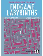 Endgame Labyrinths