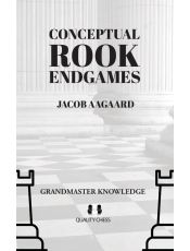 Conceptual Rook Endgames