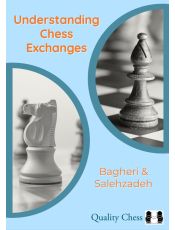 Understanding Chess Exchanges
