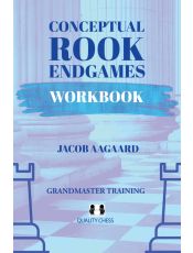 Conceptual Rook Endgames Workbook