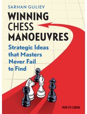Winning Chess Manoeuvres