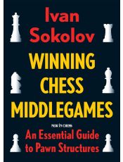 Winning Chess Middlegames