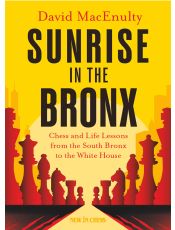 Sunrise in the Bronx