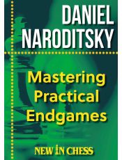 Mastering Practical Endgames