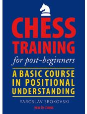 Chess Training for Post-Beginners