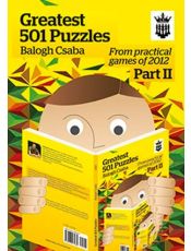 Greatest 501 Puzzles