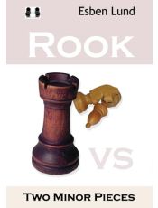 Rook vs Two Minor Pieces