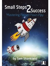 Small Steps 2 Success