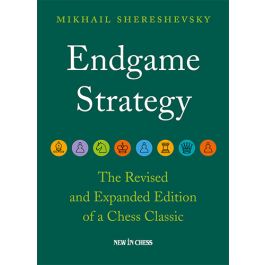 Mastering the Endgame Vol. 1: Open and Semi-Open Games (Pergamon Russian  Chess Series) - Shereshevsky, M. I.; Slutsky, L. M.: 9780080377773 -  AbeBooks