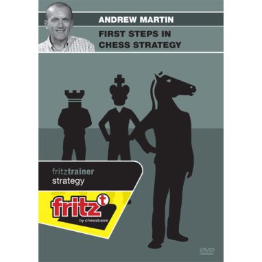 First Steps in Chess Strategy
