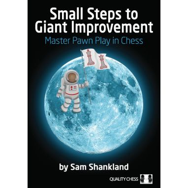 Small Steps to Giant Improvement Hardcover