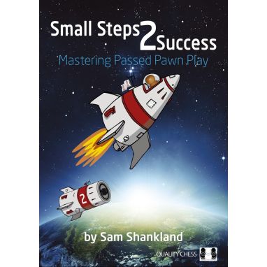 Small Steps 2 Success (paperback)