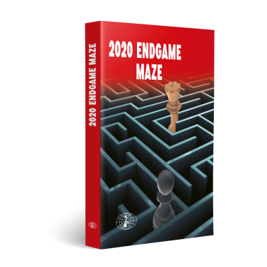 2020 Endgame Maze