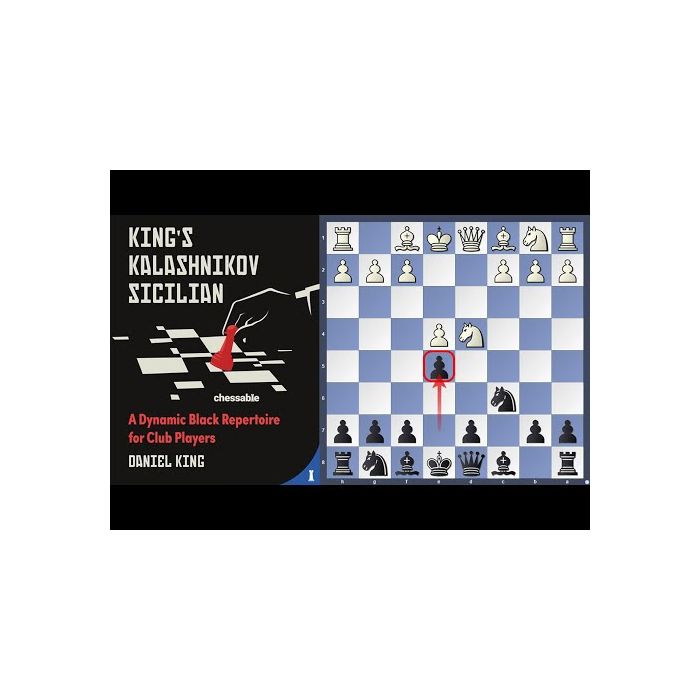 https://www.newinchess.com/media/catalog/product/cache/d8e09cdef69dd873ff7ff5e76a338998/h/q/hqdefault_4_4.jpg