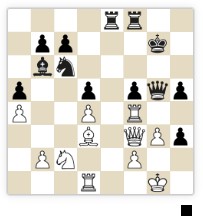 World Chess Champion Strategy Training by Willemze, Thomas