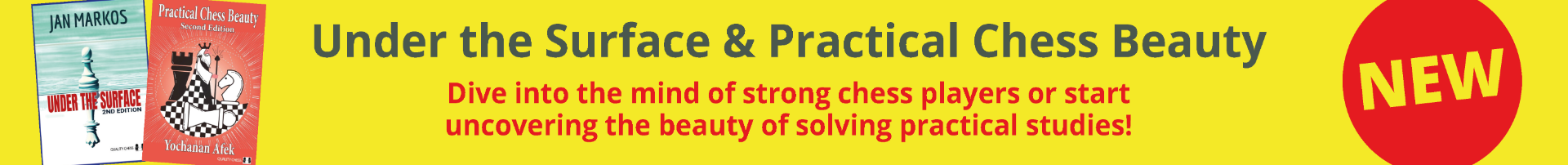 NEW! Under the Surface &amp; Practical Chess Beauty  (Second Editions)